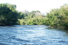Puntarenas (Puerto Caldera) Corobici River cruise excursion